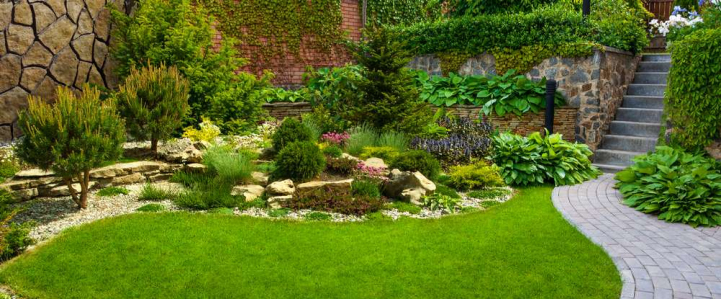 Create a Beautiful Landscape