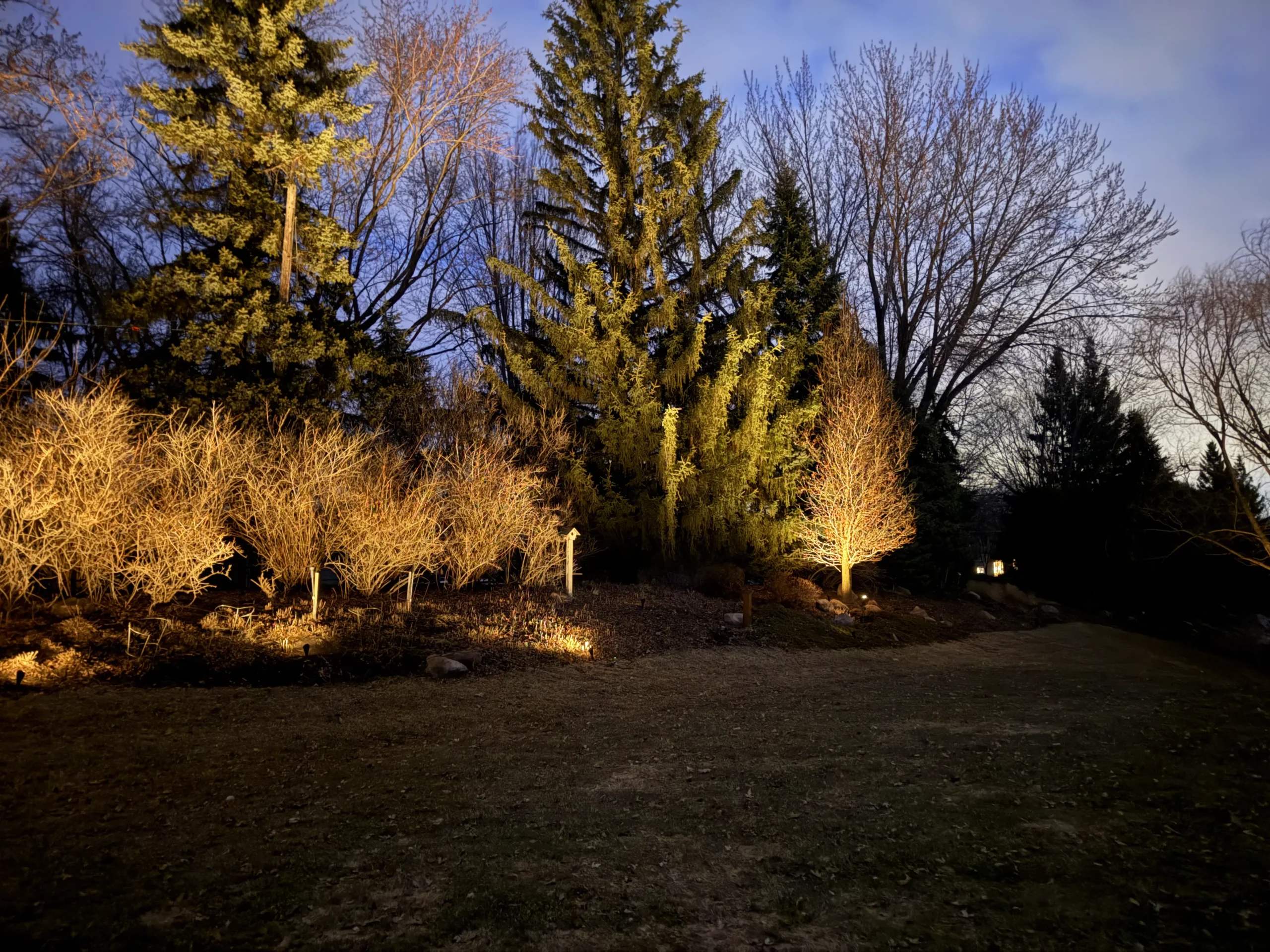 Professional garden lighting design in Carver MN