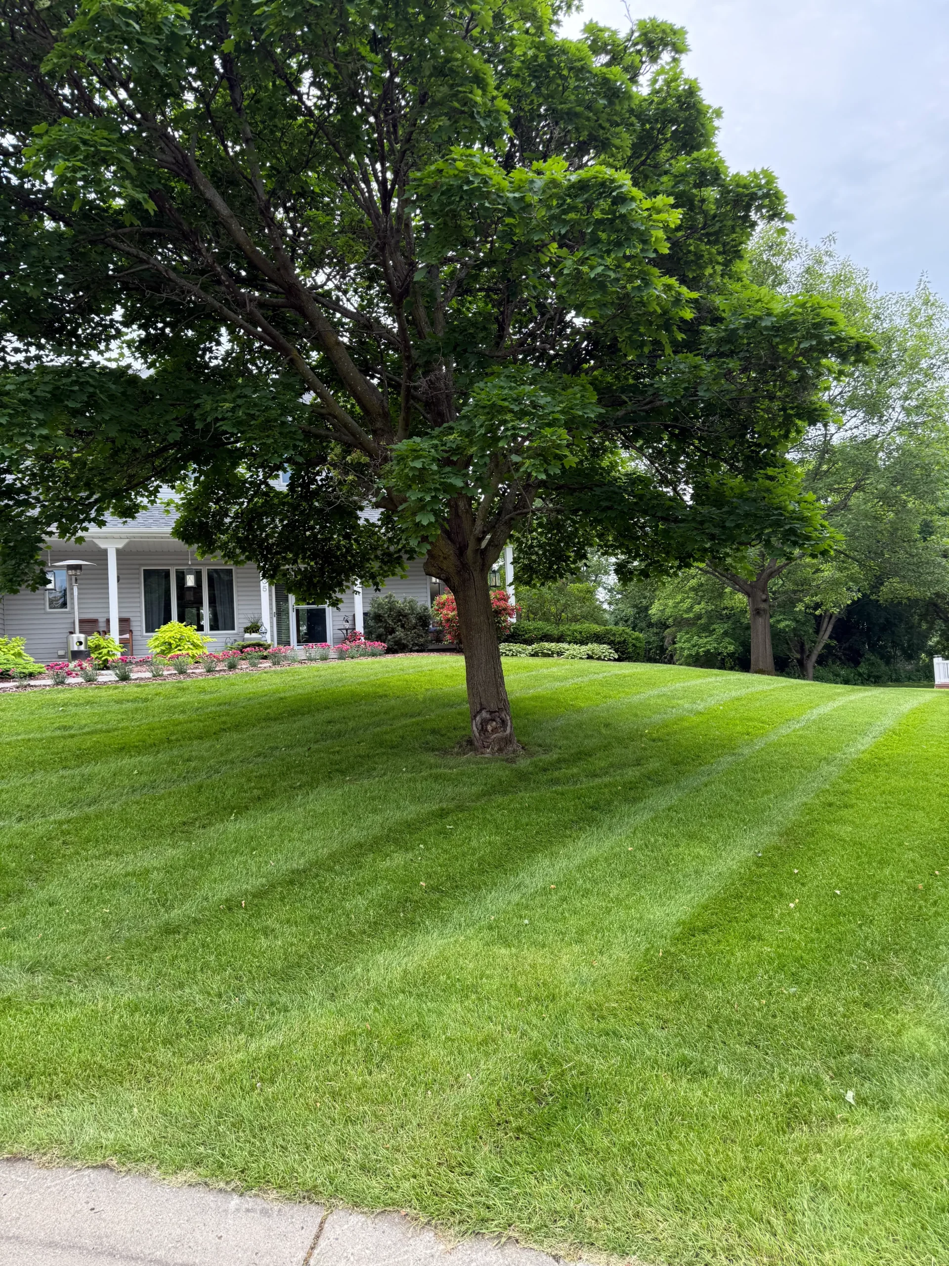 Carver MN lawn care and routine mowing