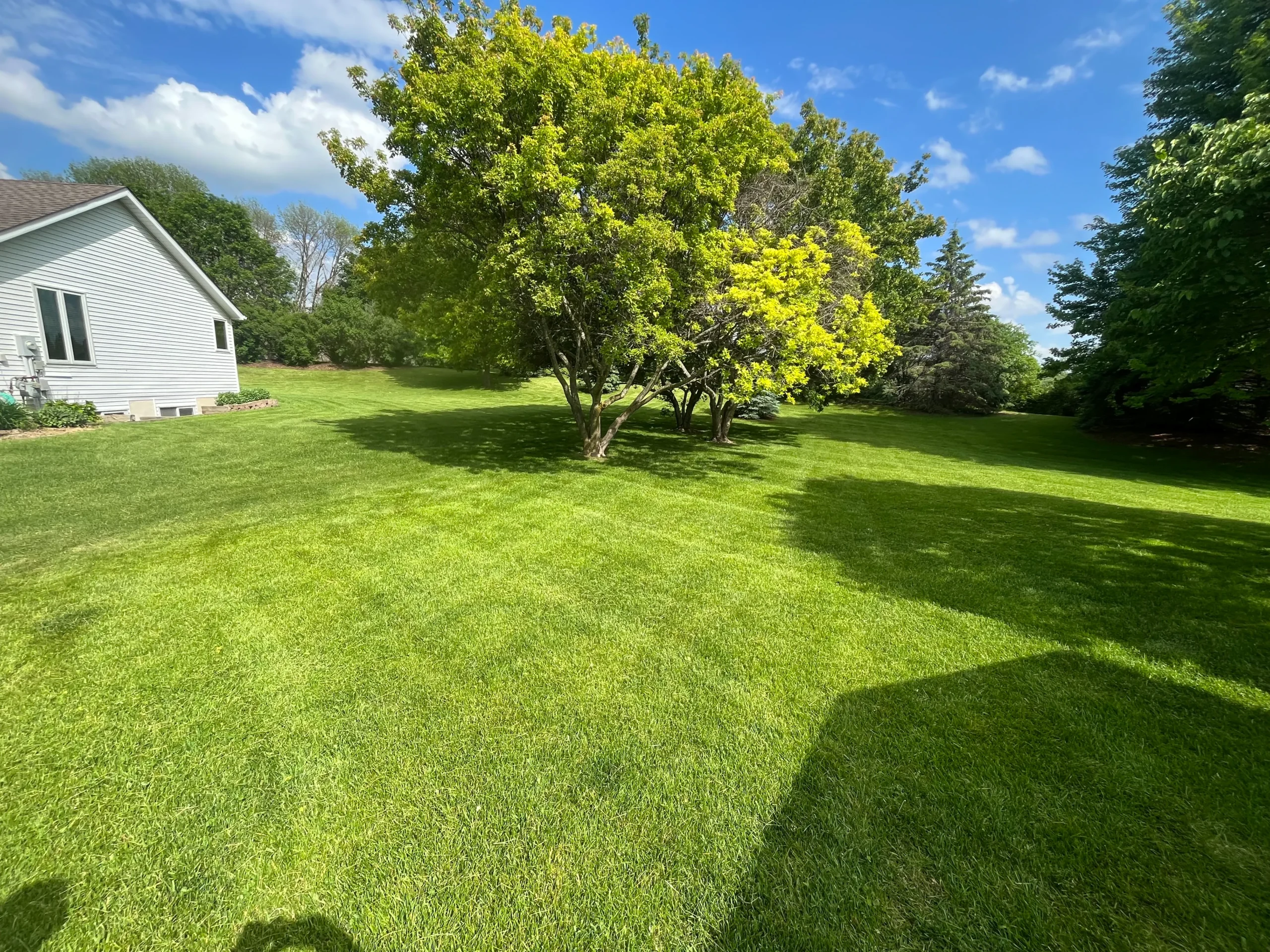 Carver MN yard service and mowing project