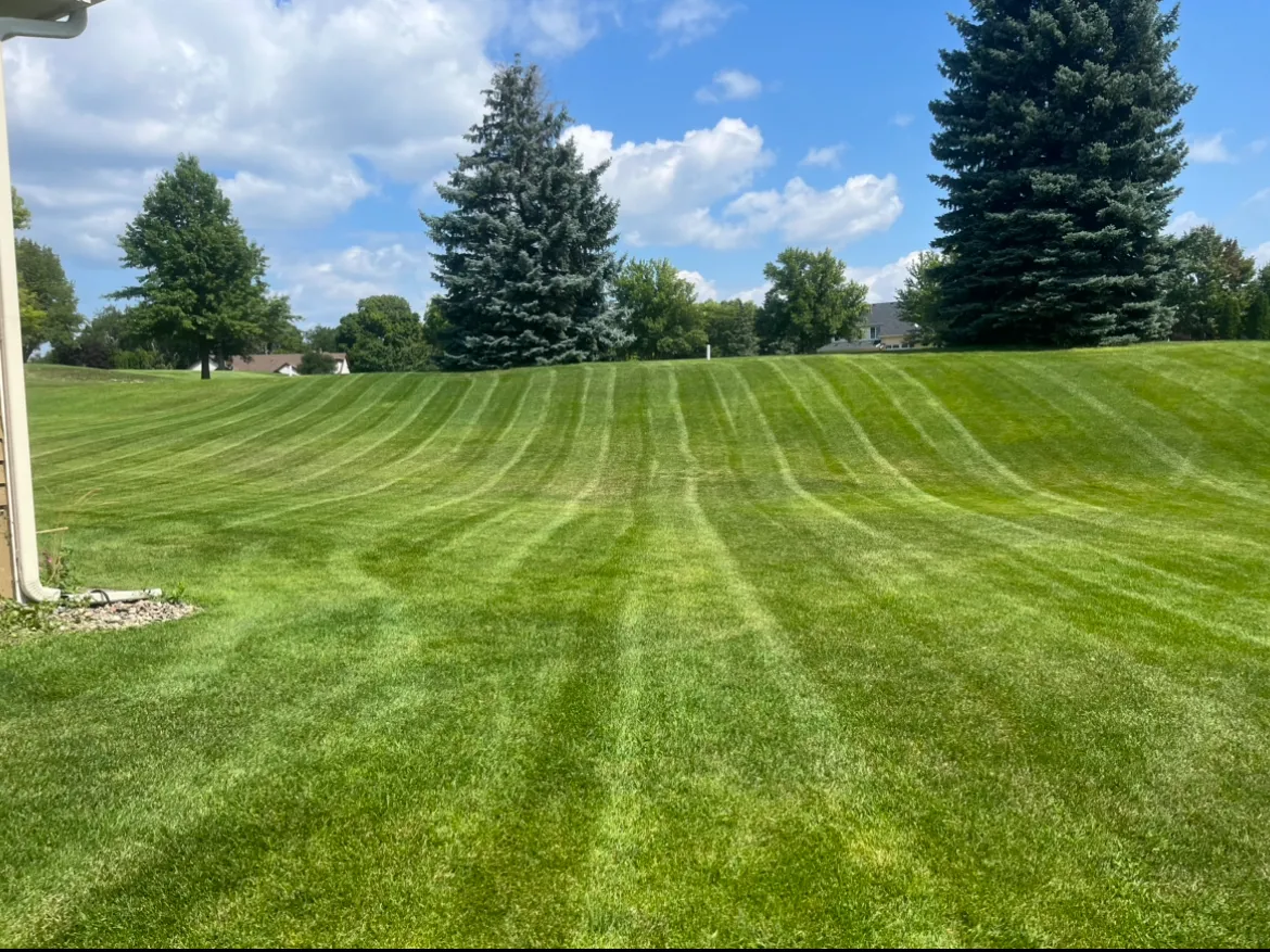 Expert mowing service in Carver MN