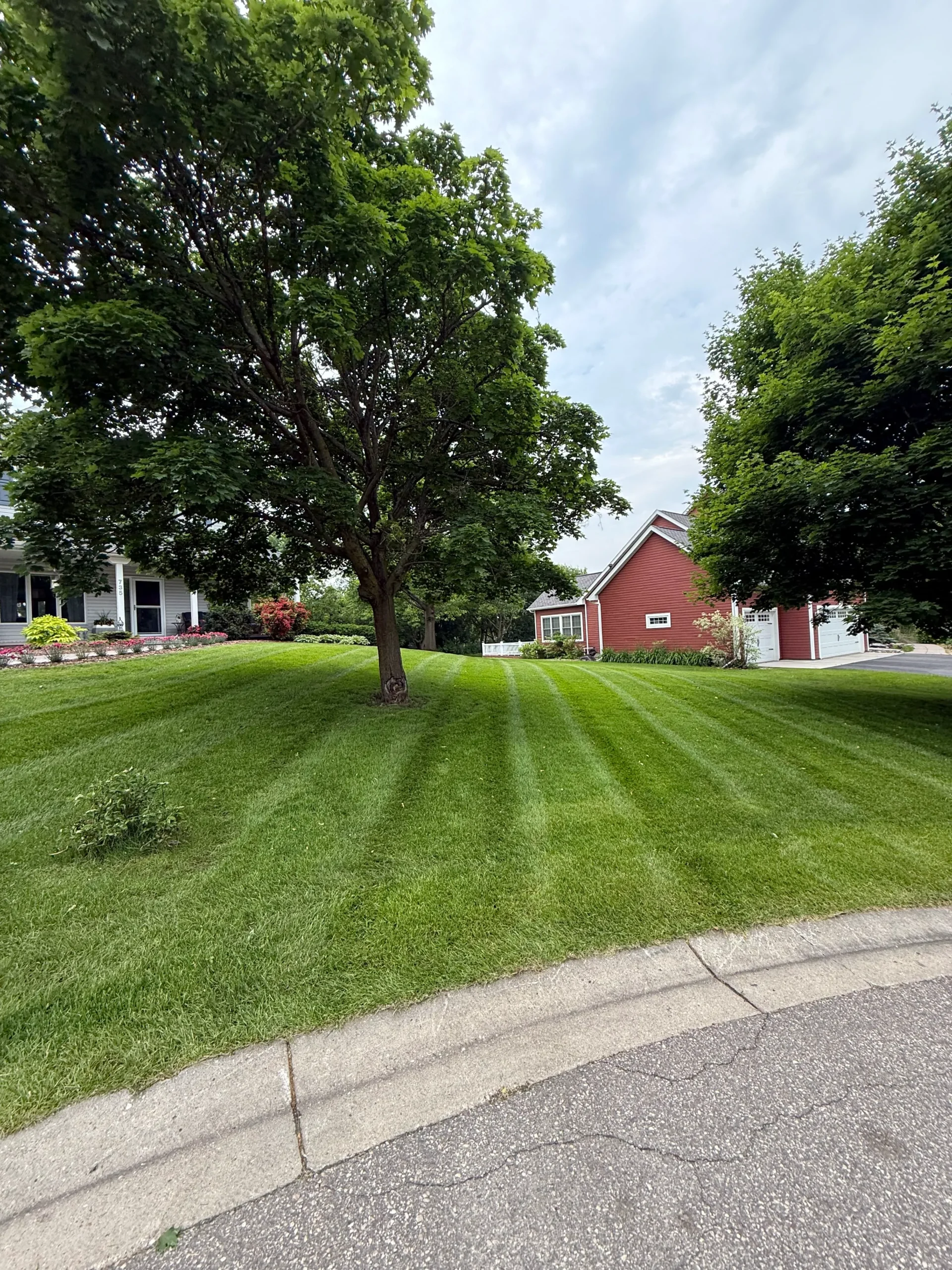 Lawn mowing in Carver Minnesota by Hartley Lawn & Landscape
