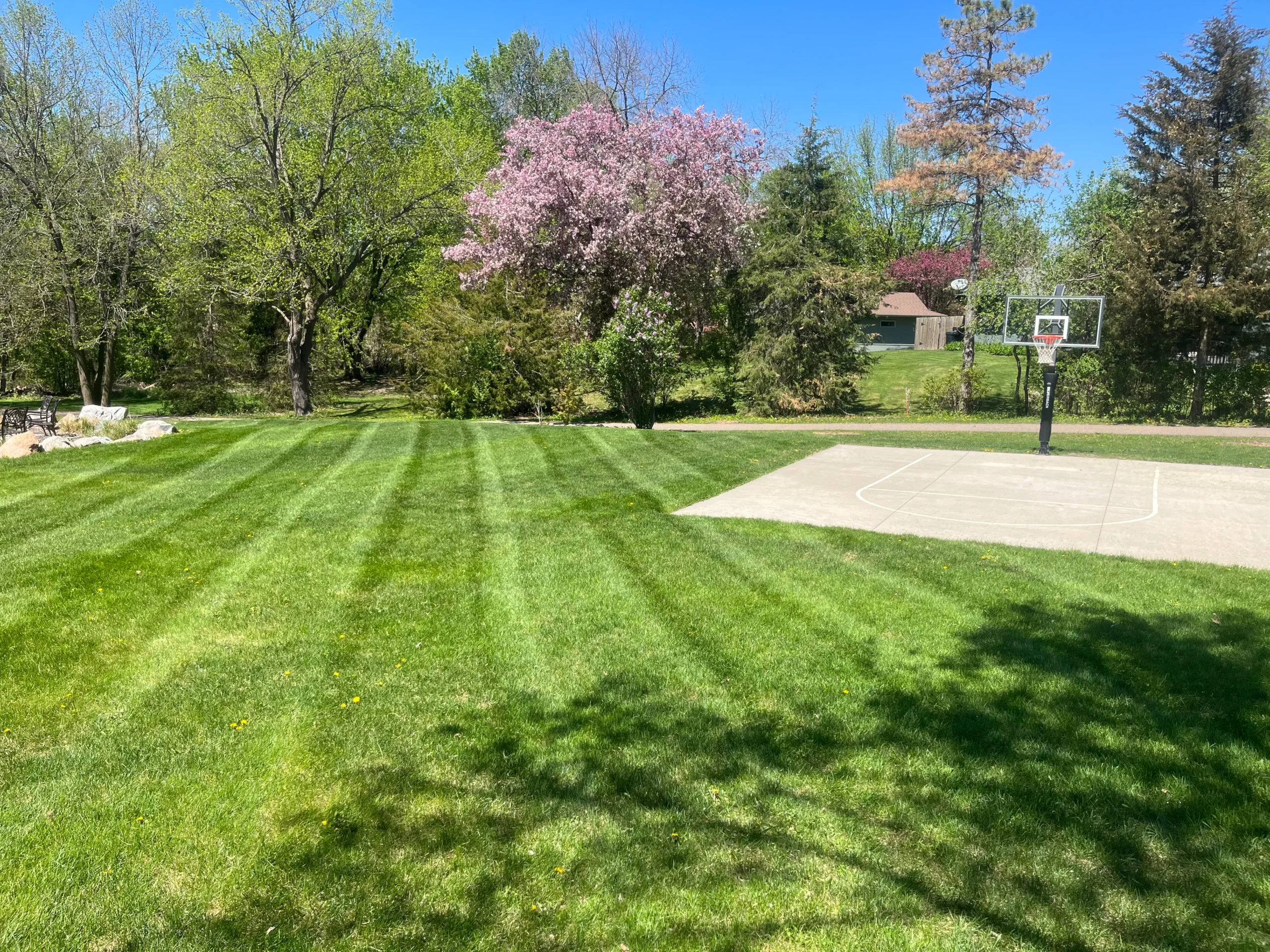 Professional lawn maintenance and mowing in Carver MN