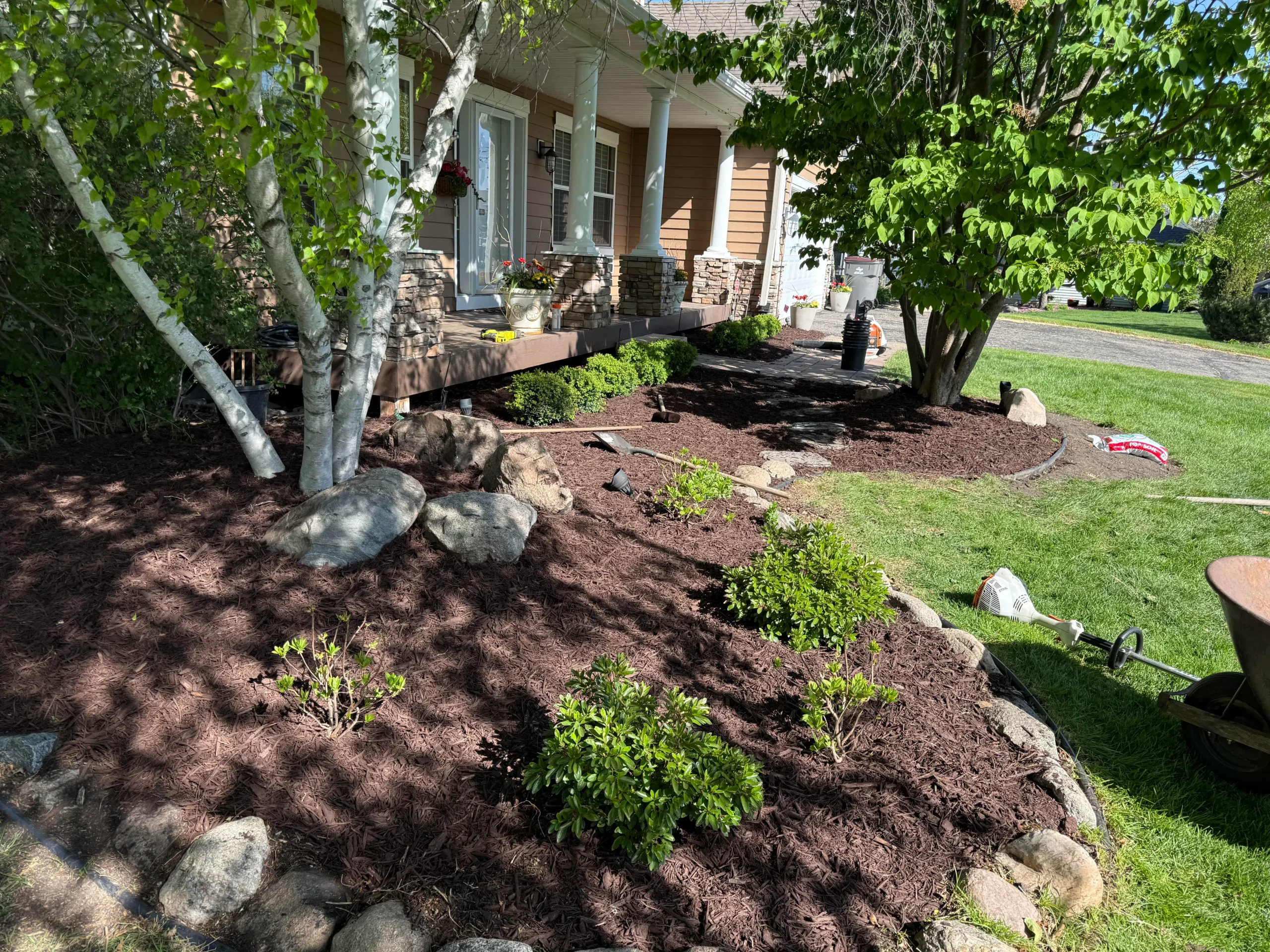 Lawn care results in Carver MN showing thick, evenly cut grass