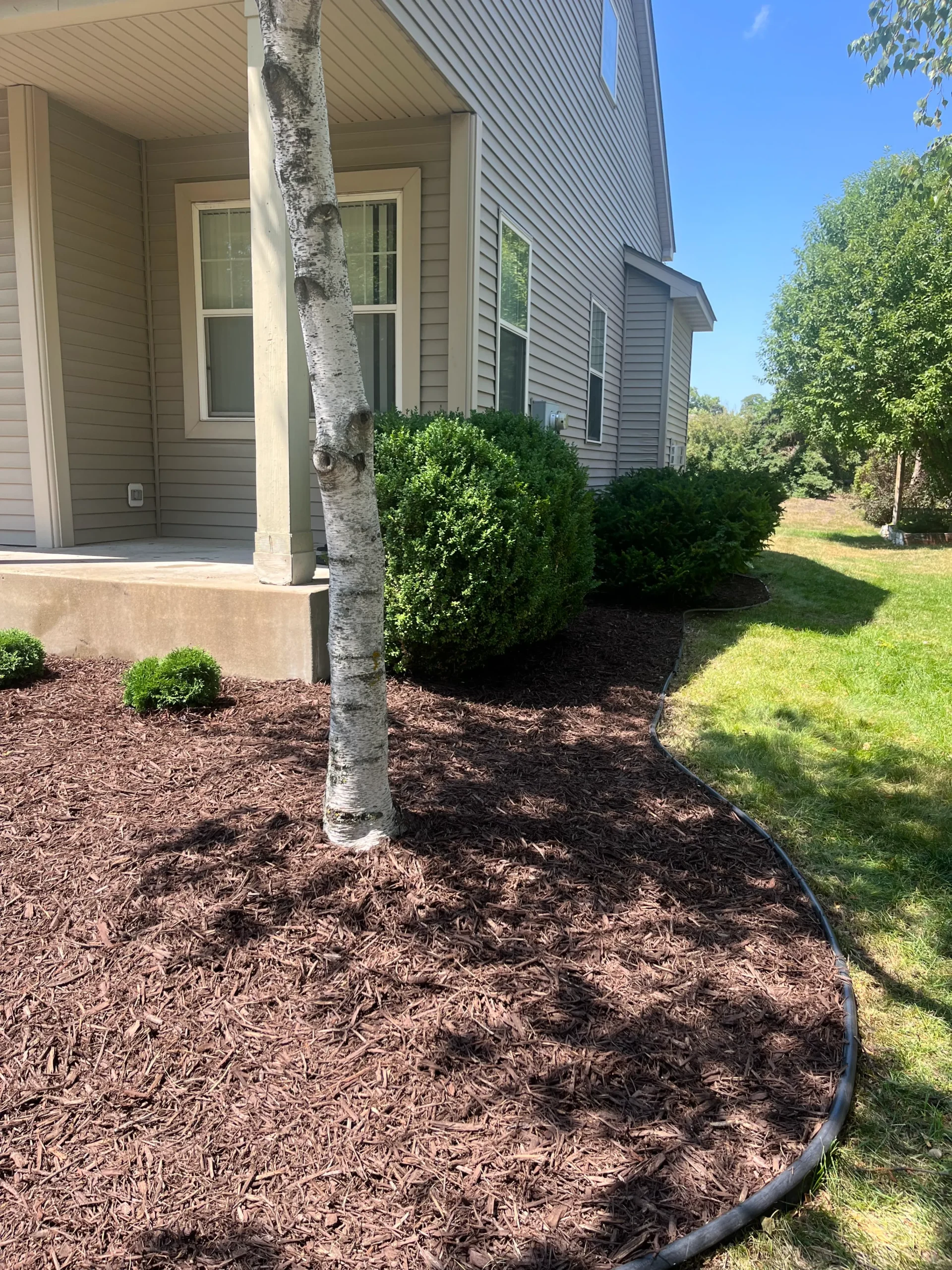 Overseeding and turf repair filling in bare lawn patches in Scott County, MN